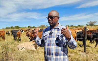 Zimbabwe intensifies wetlands protection