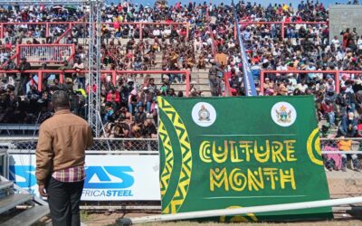 Government orders reduction of arts levies