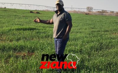Beatrice Farmer Pushes For Funding Reforms As Drought Drives Shift To Sorghum Production