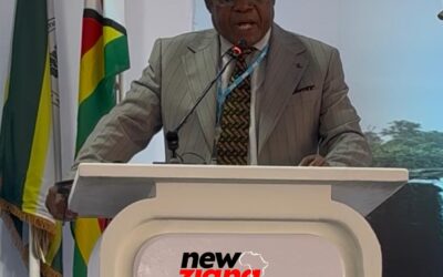 POTRAZ boss calls for African voice in global AI governance