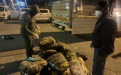 R1 Billion Drug Bust at Beitbridge Border