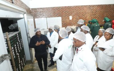 DRC Offers Land to Zimbabwe As It Seeks To Learn From Agricultural Success
