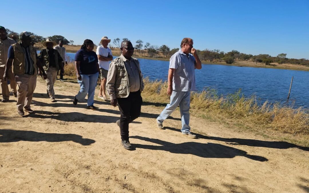Dams to Anchor Food Security, Rural Industrialisation Drive