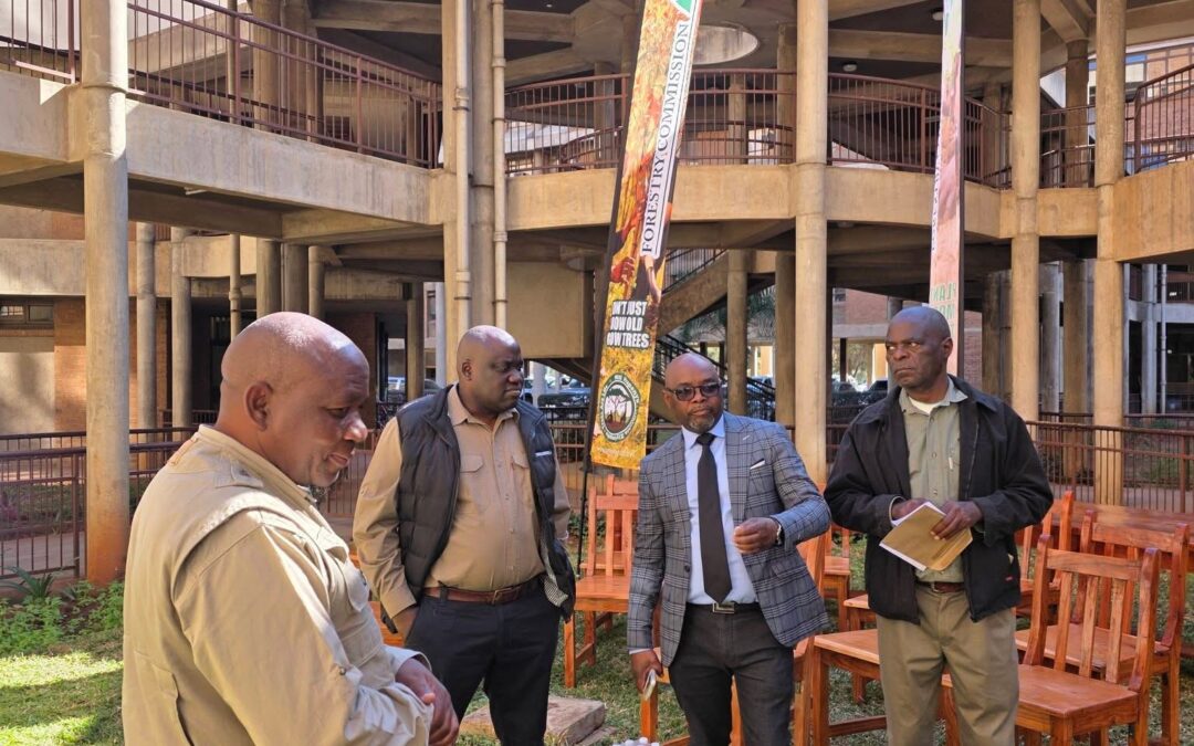 Forestry Commission Pushes High-Value Timber Processing Through Strategic Partnerships