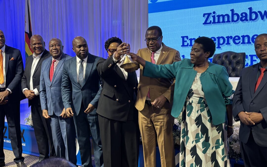 ZEEX to expand SMEs’ access to capital markets – Prof Ncube