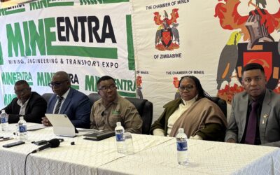 Mining Companies Urged To Deepen Mining Value Chain to Save Foreign Currency