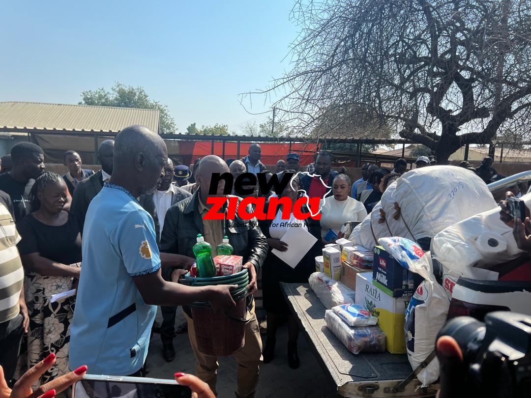 Minister of Public Service, Labour and Social Welfare, Edgar Moyo
