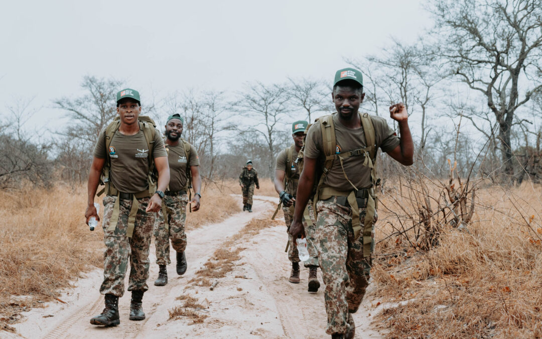 As wildlife resources deplete, Africa scrambles to up game ranger numbers