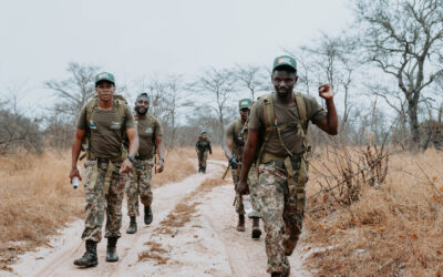 As wildlife resources deplete, Africa scrambles to up game ranger numbers