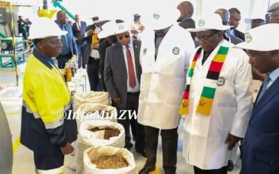 PRESIDENT COMMISSIONS MUTOKO BIOECONOMY INDUSTRIAL PARK