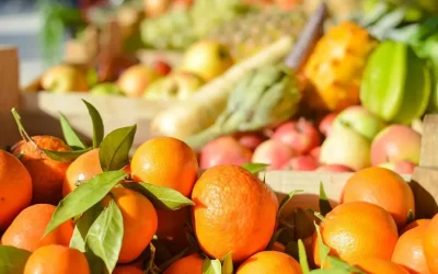 Egypt’s agricultural exports surpass 5.8 million tonnes as citrus, potatoes and grapes lead record growth