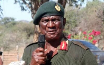 ZDF commander implores SADC armies to co-operate in tackling health challenges
