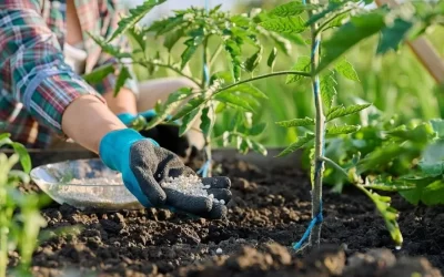Nigeria distributes 100,800 bags of fertiliser to support farmers
