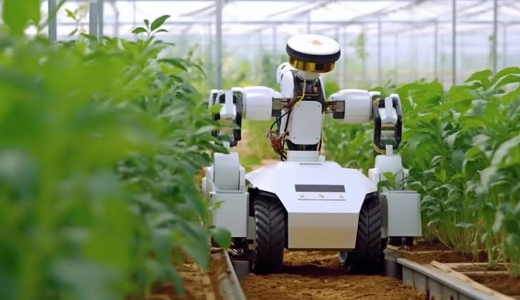 AI tools offer new route to smarter farming in Zimbabwe
