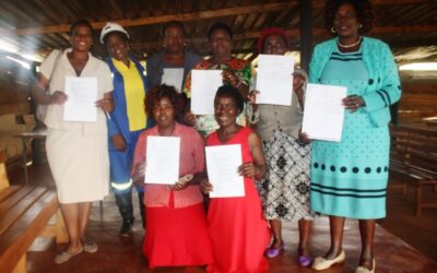 ZMF Pushing For Formalisation Of Artisinal Mining