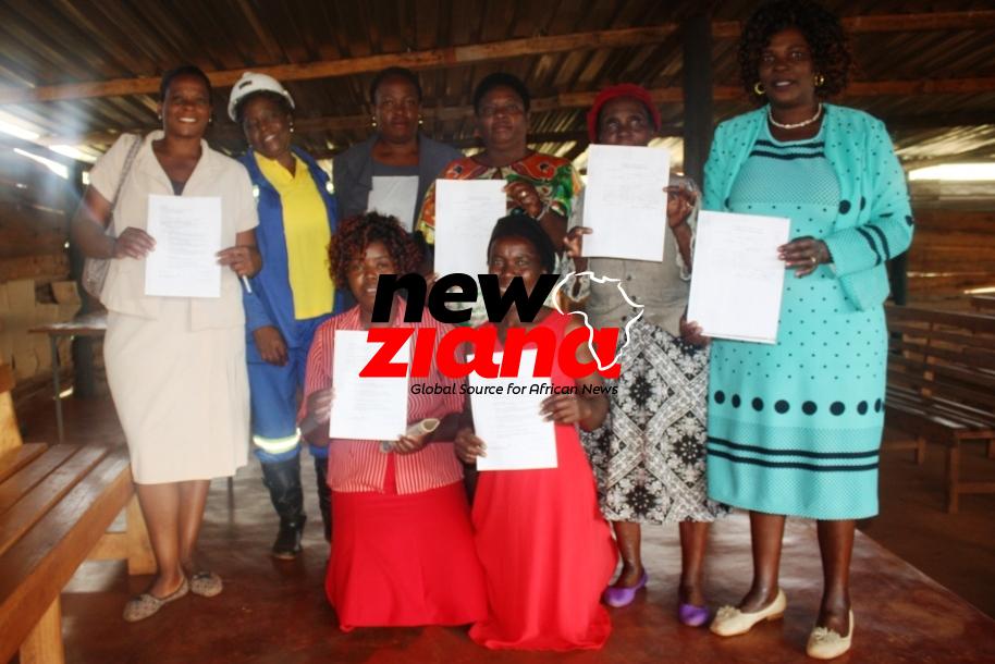ZMF Pushing For Formalisation Of Artisinal Mining