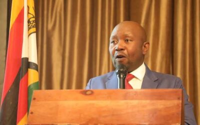 Zim govt dismisses COVID-19 fears as seasonal influenza peaks late in August