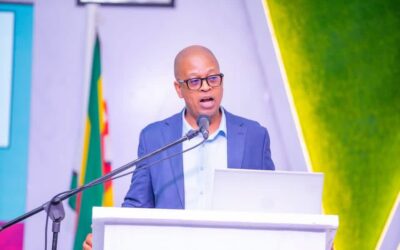 Zimbabwe Urged to Ratify ILO Convention Protecting Gig Economy Workers