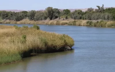 No Water Without Wetlands, Farmers Urged