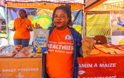 Orange Sweet Potato Crisps Turn Nutrition Into Business
