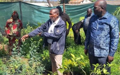 Parliament pushes for herbal medicine value chain
