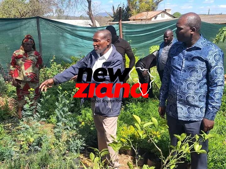 Parliament pushes for herbal medicine value chain
