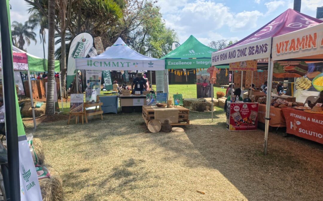 CGIAR partners showcase climate-smart farming technologies at Zimbabwe Agricultural Show