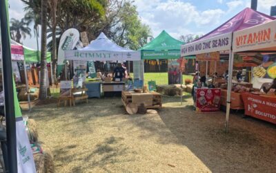 CGIAR partners showcase climate-smart farming technologies at Zimbabwe Agricultural Show