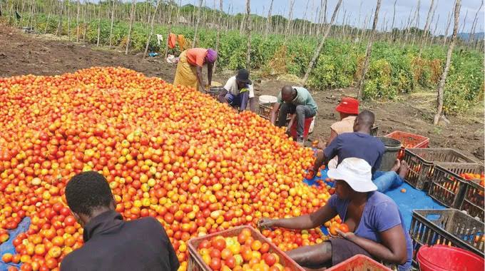 BUSE pushes rural industrialisation through agro-processing, technology