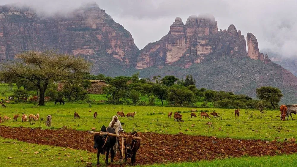 Ethiopia moves to turn millions of smallholder farmers into agribusiness owners