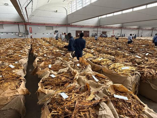 President Mnangagwa praises farmers as Zim records 358 million kg tobacco, second highest on record