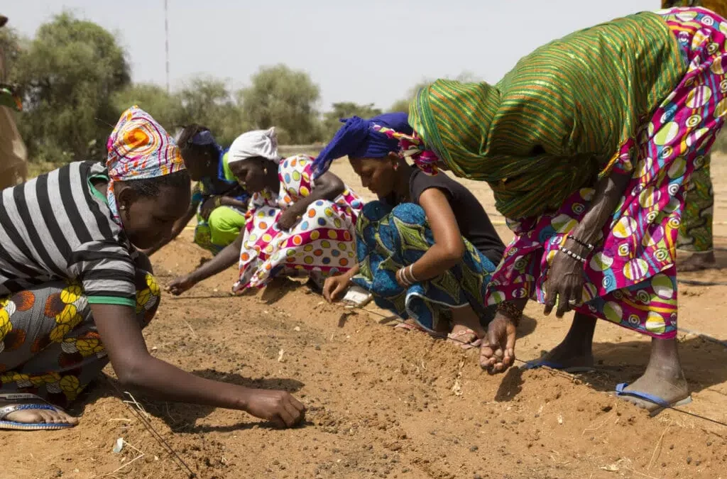 Holding Back Deserts: SAFIRE leads rural communities to restore wastelands