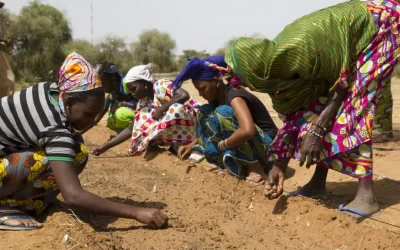 Holding Back Deserts: SAFIRE leads rural communities to restore wastelands