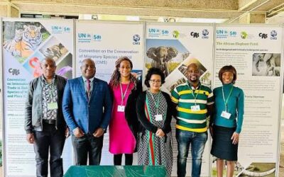 Zim moves to strengthen communication on toxic chemicals in plastics