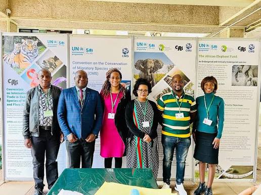 Zim moves to strengthen communication on toxic chemicals in plastics