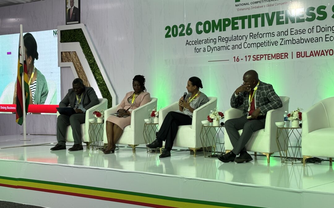 Domestic Investors Major Beneficiaries of Gvt Licencing Reviews-ZIDA