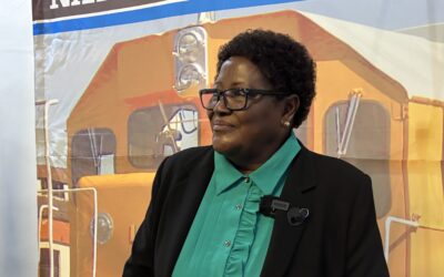 Mutapa Pledges Capital to Get NRZ Back on Track
