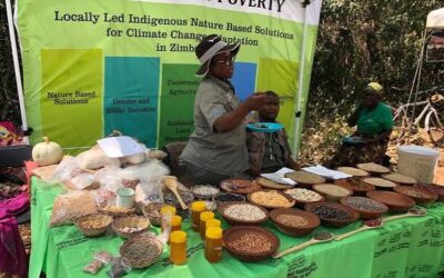 Traditional foods come under spotlight