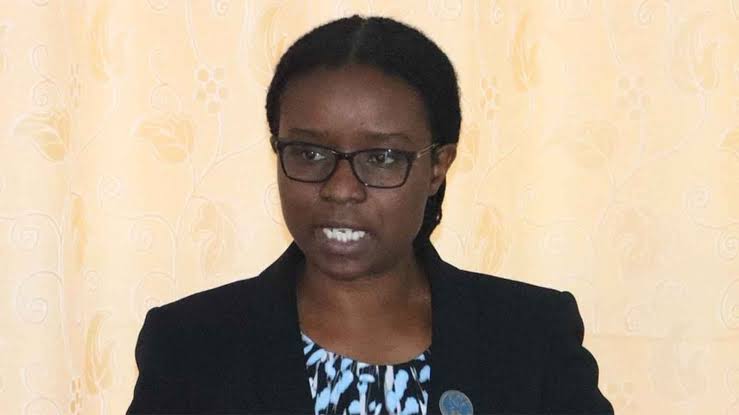 UN special rapporteur on Cultural Rights visits Zimbabwe