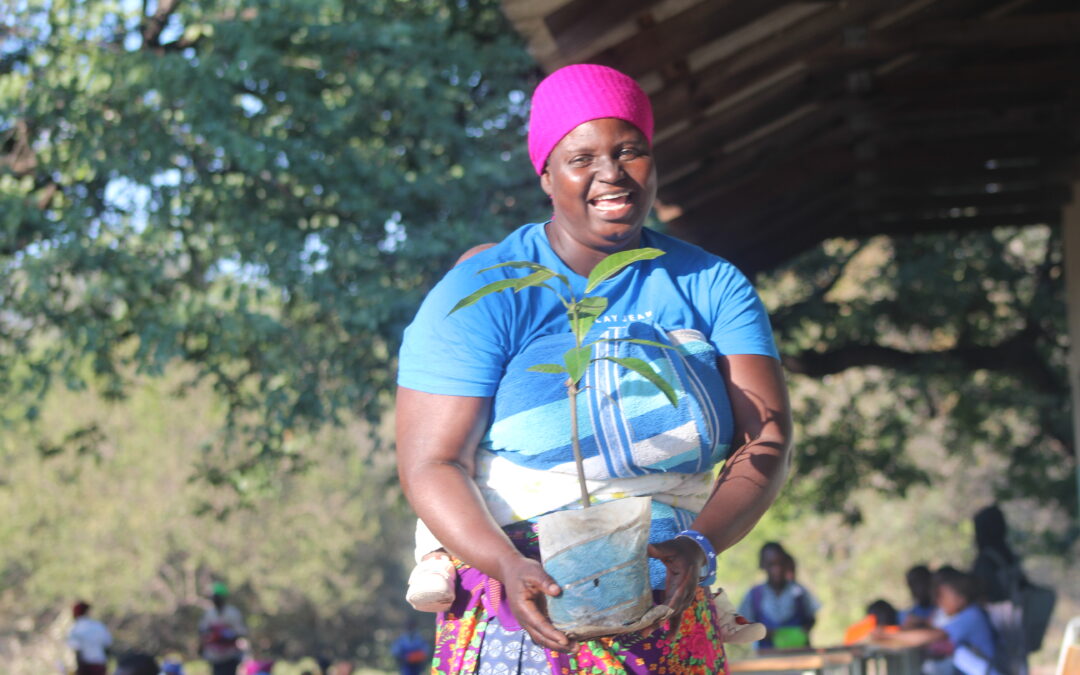 Zim Govt Calls for Community-Led Conservation as Climate Pressures Mount
