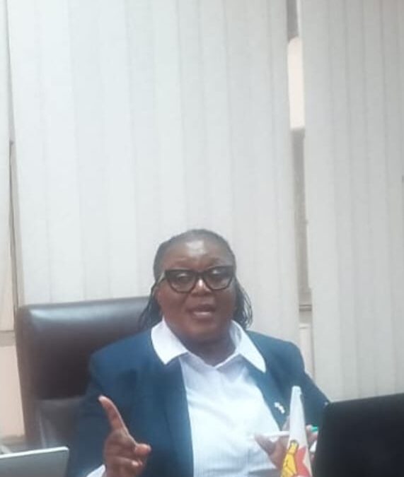 Zim records 748 veld fire incidents as EMA warns of rising climate-driven threat