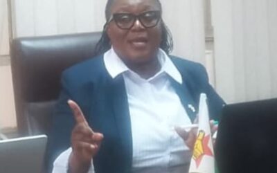 Zim records 748 veld fire incidents as EMA warns of rising climate-driven threat
