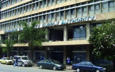 Nyachowe appointed ZESA boss