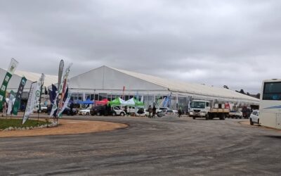 President Mnangagwa to open 19th Sanganai/Hlanganani World Tourism Expo