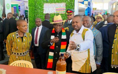 Zimbabwe turns to gastronomy to boost tourism