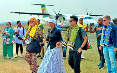 Air Zimbabwe investment to boost domestic tourism