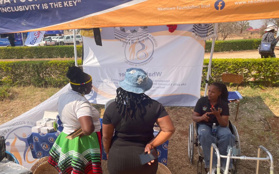 NFT Pushes Inclusive Economic Participation at Bubi Expo
