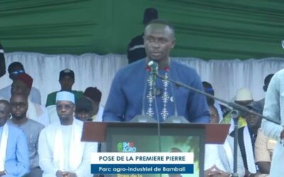 Sadio Mané invests £15m in agro-industrial project