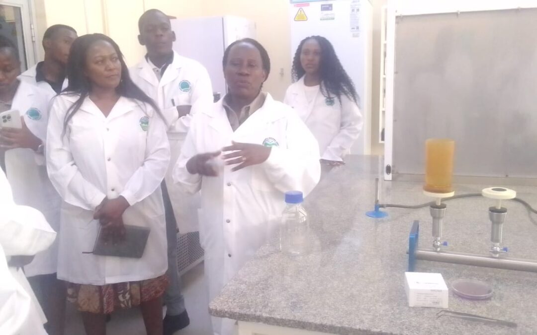 EMA laboratory anchors Zimbabwe’s environmental protection drive