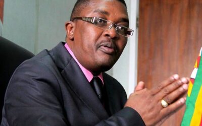 Mzembi’s Zanu-PF return hangs in the balance